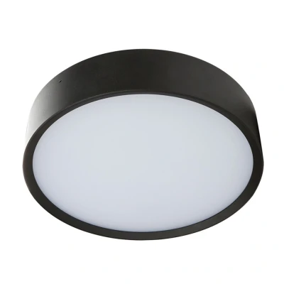 Afbeelding van Yphix Plafondlamp Led Binnen &amp; Buiten (ip65) Arendal 1 Zwart 12w Warm Wit Licht (3000k) LEDdirect.nl