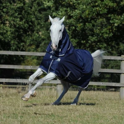 Afbeelding van Bucas Freedom Turnout Full Neck 0g Navy 155/206 155/208 Agradi.be