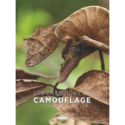 Image de Les champions du camouflage