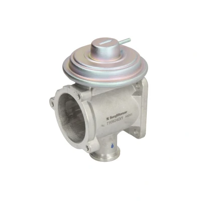 Afbeelding van Wahler EGR klep 710924D