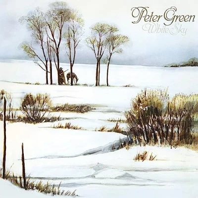 Afbeelding van Peter Green White Sky (LP)