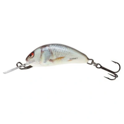 Afbeelding van Salmo Hornet Flo Plug 4 cm Real Dace