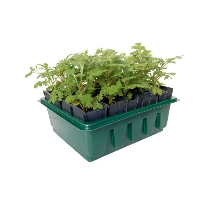 Afbeelding van Haxnicks Zaaibakje Roottrainer Snel en compact 20 cellen