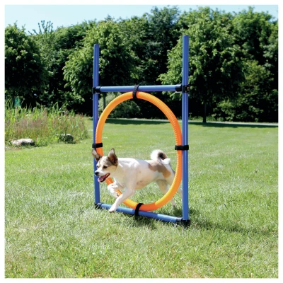 Afbeelding van Trixie Dog Activity Agility Ring Blauw / Oranje 65X3X115 CM