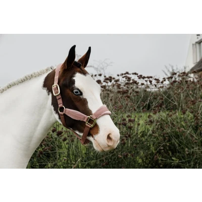 Afbeelding van Velvet halster oud roze pony