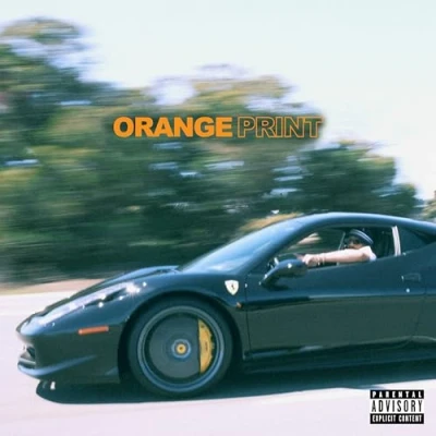 Afbeelding van Larry June Orange Print (LP)