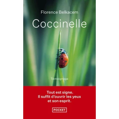 Image de Coccinelle