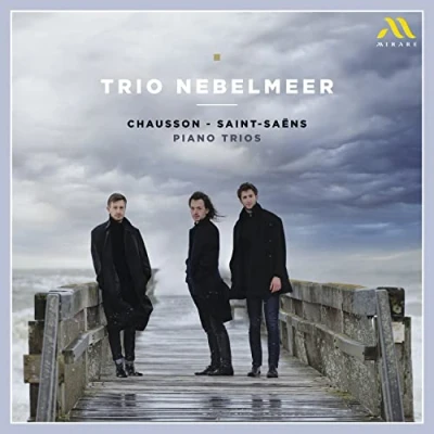 Afbeelding van Trio Nebelmeer Chausson/Saint Saëns: Piano Trios (CD)