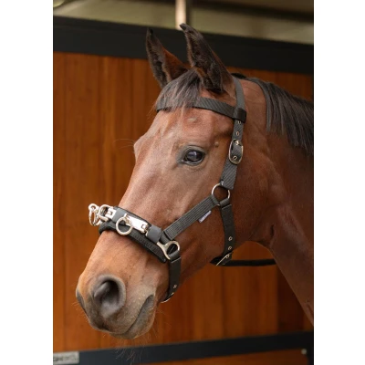 Image de Harry&#039;s Horse Caveçon Noir Full