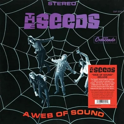 Afbeelding van A Web of Sound