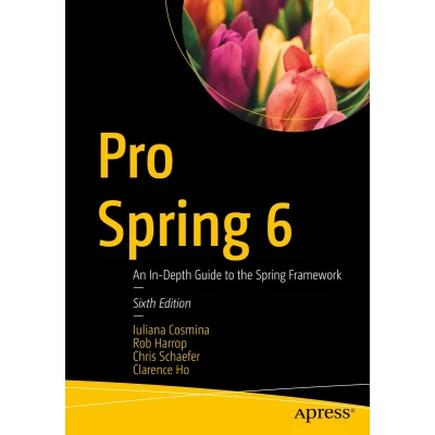 Afbeelding van Pro Spring 6