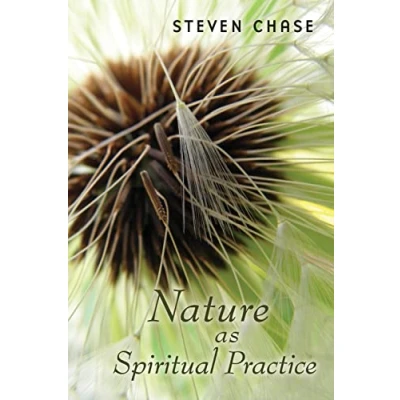 Afbeelding van Nature as Spiritual Practice