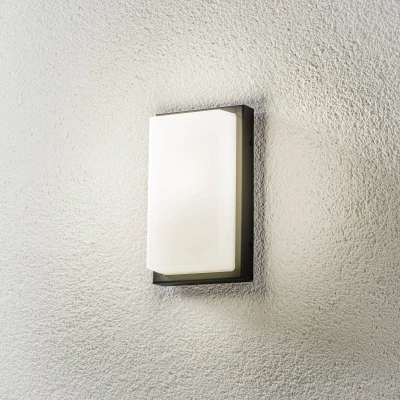 Afbeelding van Buitenwandlamp Babett E27 met sensor grafiet