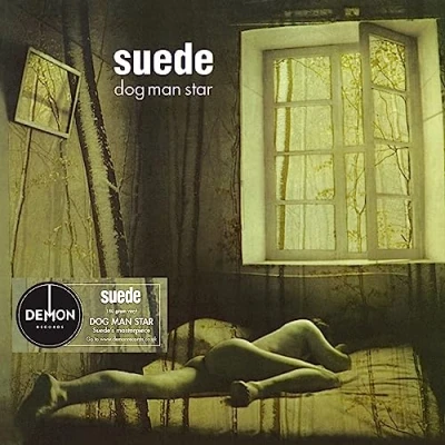 Afbeelding van Suede Dog Man Star