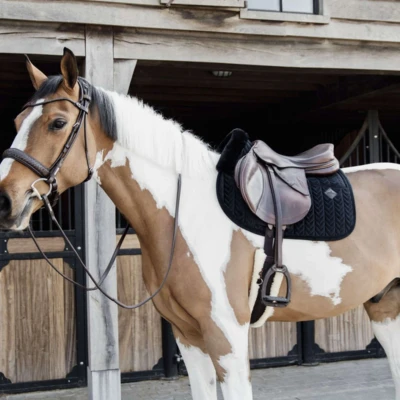 Afbeelding van Kentucky Horsewear Velvet Zadeldoek Zadeldekje Skin Friendly Jumping Zwart