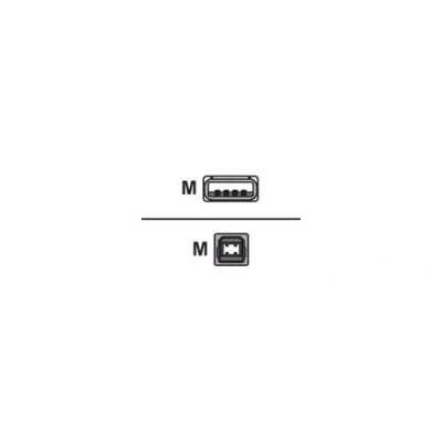Image de Equip câble USB 1 m