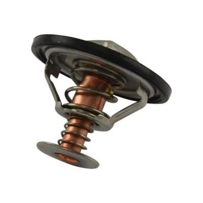 Afbeelding van Kavo Parts Thermostaat TH 5511