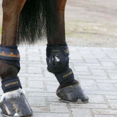Afbeelding van Kentucky Kootbeschermer Pastern Full