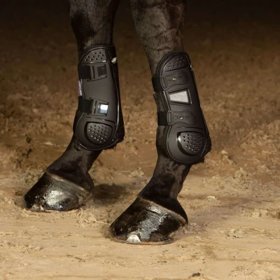 Afbeelding van Harry&#039;s Horse Beenbeschermers Breath Zwart Cob