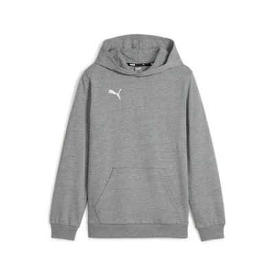 Afbeelding van Puma teamGOAL Casuals Hoody Jr Jongens sporttrui Medium Gray Heather White Maat 164