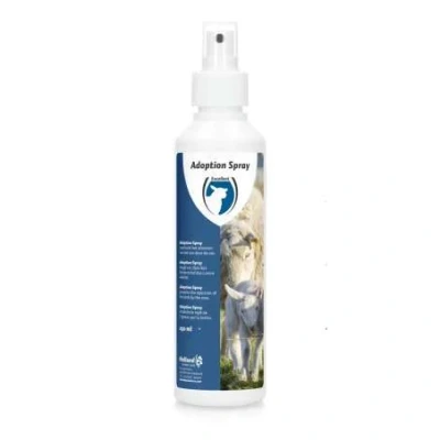 Afbeelding van Adoptiespray lammeren