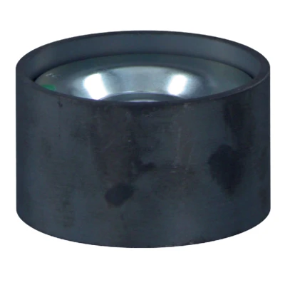 Afbeelding van Febi Bilstein Geleiderol (poly) V riem 27169