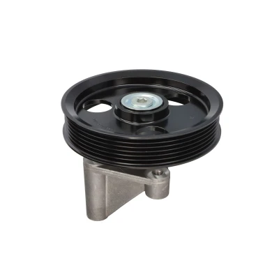 Afbeelding van Skf Geleiderol (poly) V riem VKM 36053