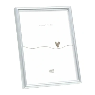 Afbeelding van Deknudt Frames fotolijst S011D1 smal zilver in kunststof 24x30 cm