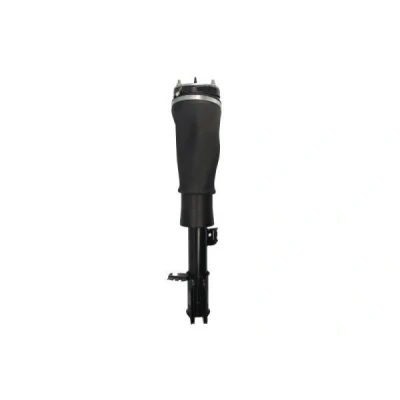 Afbeelding van Magnum Technology APL018MT Pneumatischeveerpoot Rechts voor LAND ROVER: Range Rover 3