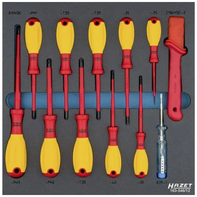 Afbeelding van Hazet 163 546/12 Schroevendraaierset