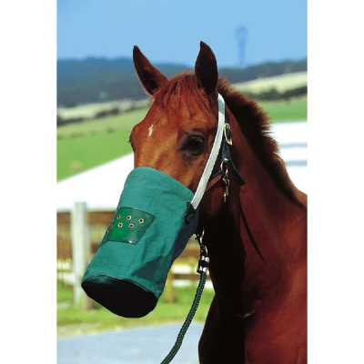 Afbeelding van Hippotonic Voerzak Canvas Groen