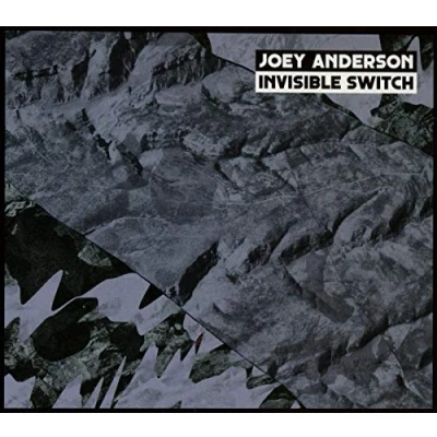 Afbeelding van Joey Anderson Invisible Switch (CD)