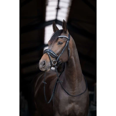 Afbeelding van HB Hoofdstel Showtime Stockholm Zwart/Zwart Cob