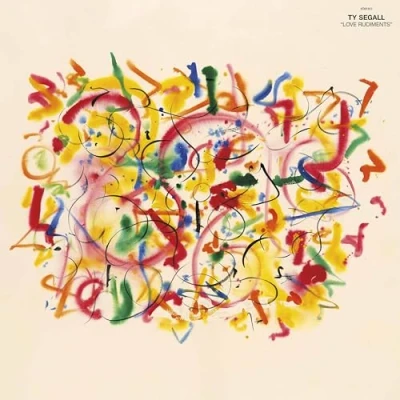 Afbeelding van Ty Segall Love Rudiments (LP)
