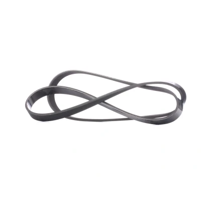 Afbeelding van Poly V riem DAYCO 6PK1381