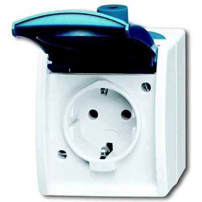 Afbeelding van Busch Jaeger spatwaterdicht stopcontact met randaarde en klapdeksel IP44 20 EW 53