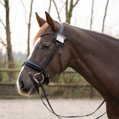 Afbeelding van Qhp Nummerhouders Zwart