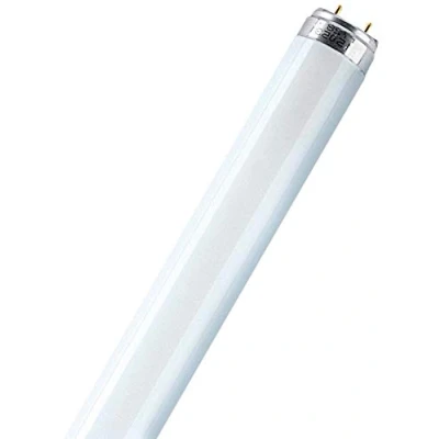 Afbeelding van Osram L 36W/827 lamp