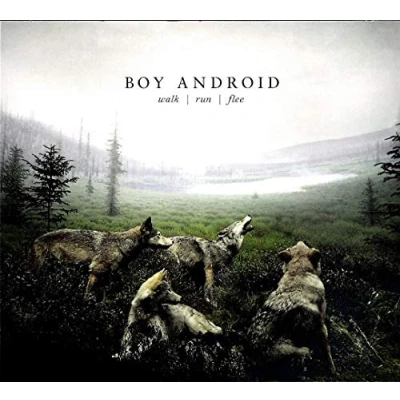 Afbeelding van Boy Android Walk / Run Flee (CD)