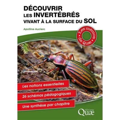 Image de Découvrir les invertébrés vivant à la surface du sol