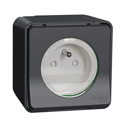 Afbeelding van Schneider Electric MUR36029 Mureva Styl Dual PC 2P+T Schuko voorbedraad horiz opbouw IP55 IK08 GRIJS DBLE ALL