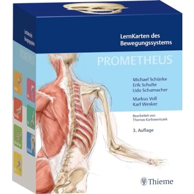 Afbeelding van PROMETHEUS LernKarten des Bewegungssystems