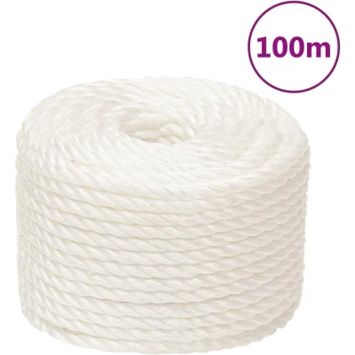 Afbeelding van vidaXL Werktouw 12 mm 100 m polypropeen wit