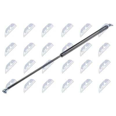 Afbeelding van NTY AE CH 028 Gasveer achterklep 860N 678mm