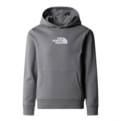 Afbeelding van The North Face DREW PEAK Light Hoodie Unisex voor kinderen, Maat: 140, Smoked pearl