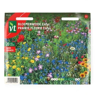 Afbeelding van Bloemzaden Bloemenweide VT