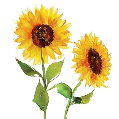 Afbeelding van 20 stuks papieren servetten met bloemenmotief en twee zonnebloemen voor tafeldecoratie, ook geschikt decoupage servettechniek, 33 x cm