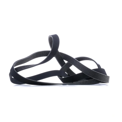 Afbeelding van Bosch Poly V riem 1 987 948 499