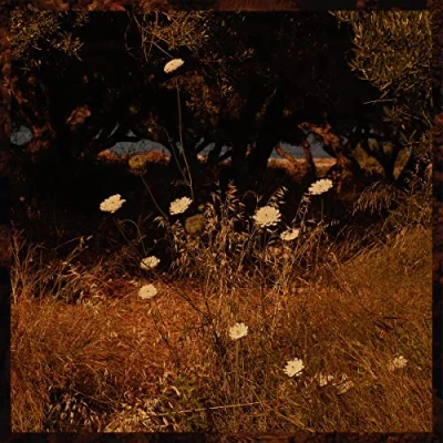 Afbeelding van Szun Waves Earth Patterns (CD)