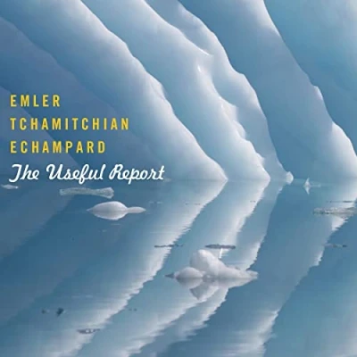 Afbeelding van Andy Emler Trio The Useful Report (CD)